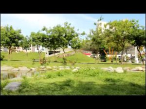 影片>中央公園的生態-2012.05.13