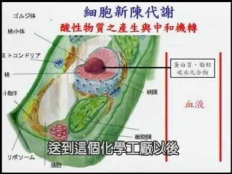 影片>王輝明醫師講-改變飲食預防癌症