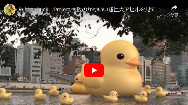 影片>Rubber﻿ Duck　Project 大阪のかわいい超巨大アヒルを見てきたよ。