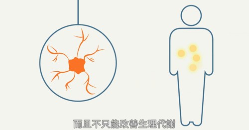 網路分享>兩分鐘看腸道如何影響我們的心情